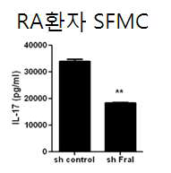 류마티스관절염환자세포에서 특이억제제효과