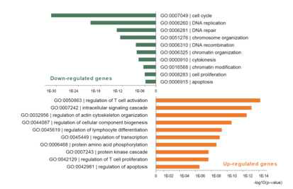 differentailly expressed gene을 이용한 gene ontology 분석