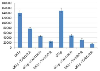 Twist2 의 발현을 점진적으로 증가시켜 보았을 때 Gfi1 promoter activity 가 이에 비례하여 감소함을 확인.