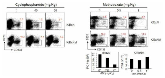 Long-lived plasma cells are less susceptible to cytostatic treatment