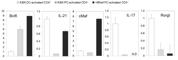 mRNA expression by RT-qPCR for Bcl-6, IL-21, cMaf, IL-17 and Rorgt in CD4+T cells activated in cultures using KBN DC, KBN PC, or KBNsf DC.