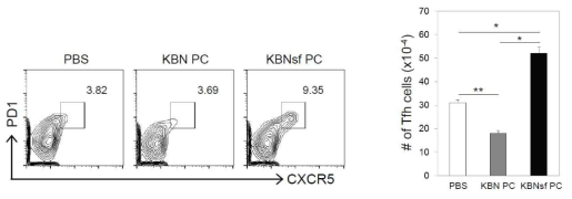 KBNsf sLL-PC promote the differentiation of Tfh cells in vivo.