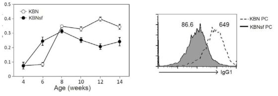 KBNsf PCs produce less autoantibodies than KBN PCs.