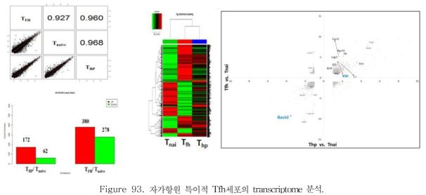 자가항원 특이적 Tfh세포의 transcriptome 분석.