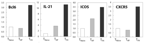 Quantitative RT-PCR with TNaive, THP, TFH cells purified from K/BxN mice.