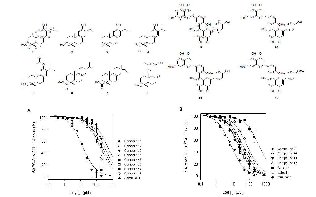Abietane 유도체 화합물과 biflavonoid 유도체 화합물의 3CLpro 저해활성.