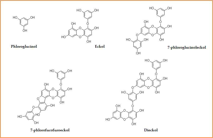 감태로부터 순수분리 구조분석된 phlorotannin 유도체 화합물들.