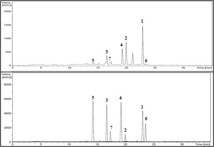 단삼 에탄올 추출물의 HPLC 크로마토그램 및 분리된 탄쉬논계 화합물 profiling