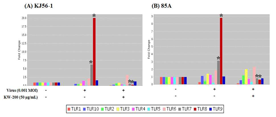 생물소재 KW-200의 로타바이러스에 유도된 TLR7와 TLR8의 발현 억제 효능 (Real-time RT-PCR)