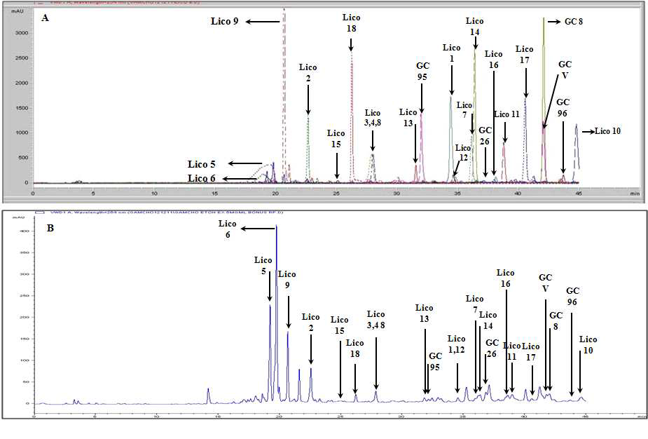 생물소재 KW-200로부터 분리된 23종의 화합물들의 HPLC profiling