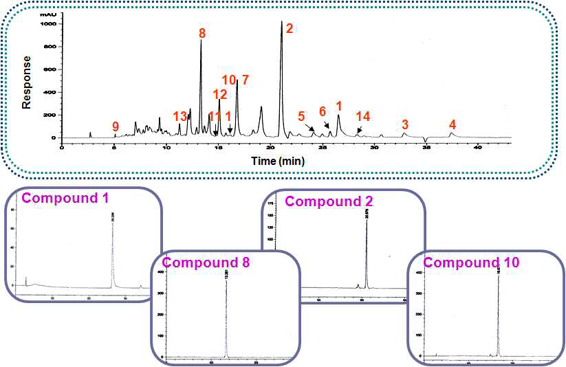 생물소재 JSC의 profiling 분석을 위한 HPLC chromatogram 및 정성분석