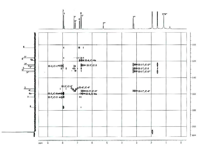 신규화합물 7의 HMBC 스펙트럼