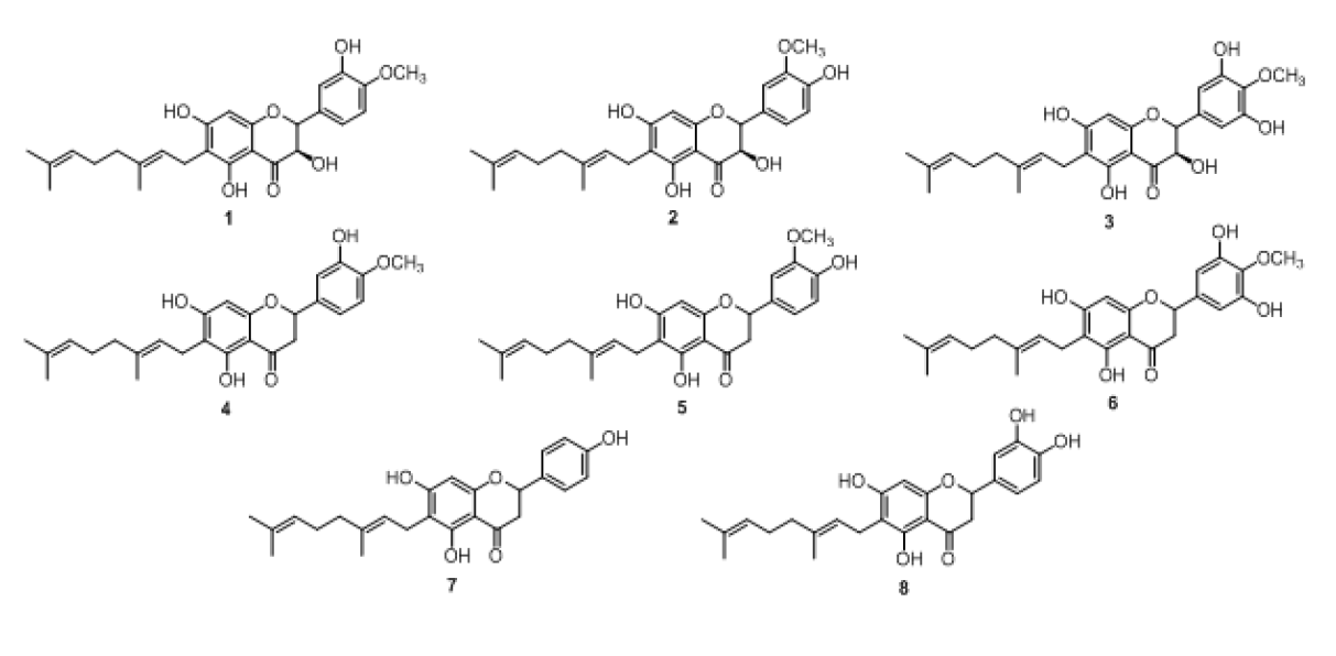참오동나무 열매에서 분리한 a-glucosidase 저해제 (1-8)의 화학구조