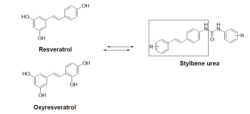 목표화합물의 구조적특징 (Resveratrol 과의 유사성)