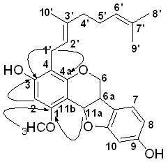 화합물 Bicolosin C (3)의 HMBC 상관관계