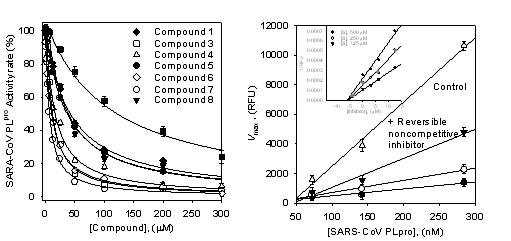 (A) Effects of isolated compounds 1–8 on SARS-CoV PLpro for the hydrolysis of Z-RLRGG-AMC. (B) The catalytic activity of SARS-CoV PLpro as function of enzyme concentration at different concentrations of compound 7 (▽, 0 mM; ▼, 3.12 mM: ○, 6.25 mM: ●, 12.5 mM). (Insert) Dixon plot was for 7 to determine the inhibition constant Ki.