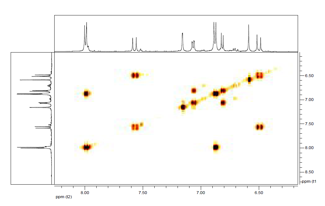 신규화합물 terrestrimine (6)의 1H-1HCOSY NMR 스펙트럼