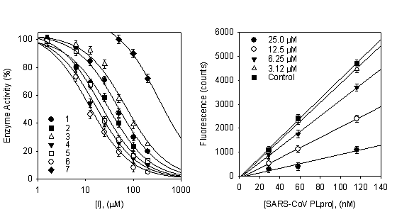 (A) 분리된 화합물의 저해활성을 농도 의존적으로 SARS-CoV PLpro 의 활성을 저해함을 확인하였고, (B) 화합물6은 농도를 증가함에 따라 효소의 반응속도는 농도 의존적으로 감소 시켰으며, 영 점에서 교점을 얻을 수 있으므로 가역적 저해제로 확인하였다.