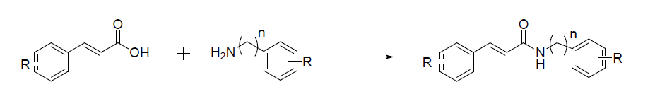 신나믹 아마이드계 화합물 합성 방법 (조건: BOP, Et N, DMF, 20h)3
