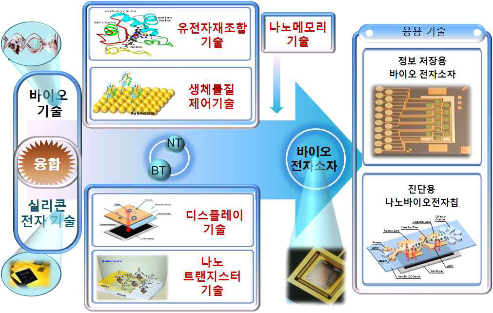 바이오전자소자의 구성