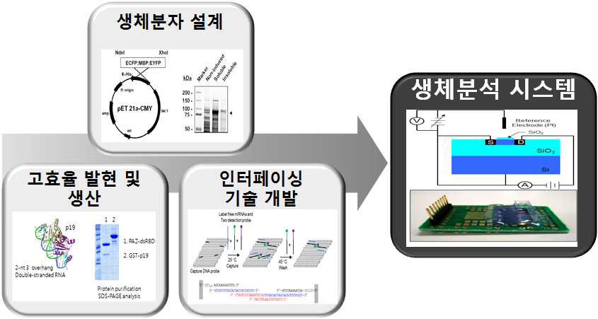 4세부과제 최종 연구 결과물