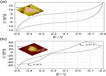 나노 패턴상에 고정화 하고, ECSTM을 이용한 CV 측정 결과 및 이미지