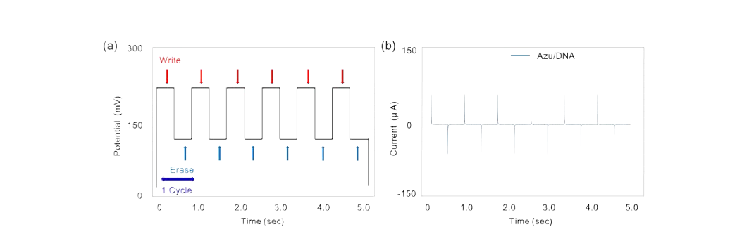 단백질/생체분자의 시간대 전류법(CA)을 이용한 바이오 메모리 특성확인 (a) 입력 산화, 환원 퍼텐셜 그래프. (b) 입력값에 따른 전류 응답 그래프