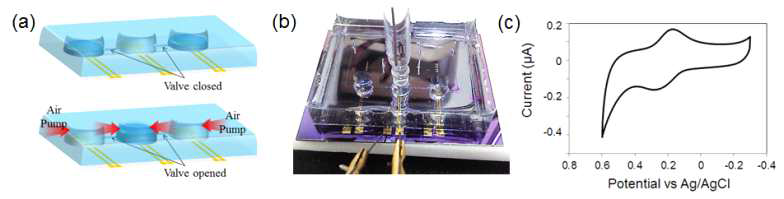 (a) 미세유체 칩 구성 , (b) PDMS를 이용한 미세유체 칩 제작, (c) 미세유체 칩 상에서 생체물질의 전기화학 신호 검출