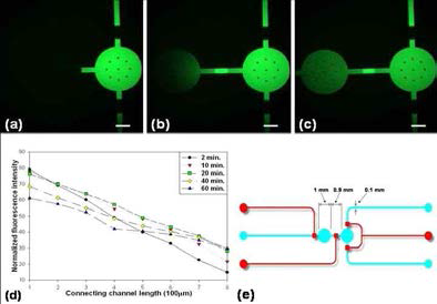 바이오프로세서를 이용한 (a-d)형광물질 확산과 (e) 다층구조 칩의 design