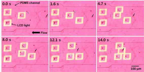 미세유체 채널이 집적된 나노바이오 LOD 내에서 유체에 의해 이동하는 단일 미세입자의 포획 및 구동.