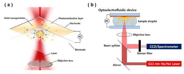 금 나노입자를 이용한 생체분자의 검출을 위한 (a) LOD 플랫폼 개념도, (b) setup.