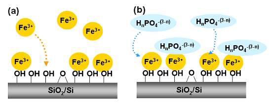 SiO2/Si 표면에서의 Iron phosphate 나노입자 합성 메카니즘