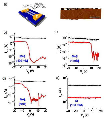 a) SWNT-FET 개요 및 AFM 이미지 b)-d) 네트워크 형태의 나노튜브 소자에서 다양한 농도변화에 따른 게이트 전압에 의한 전류 변화 e) 단일 금속성 나노튜브에서 게이트 전압에 따른 전류 변화