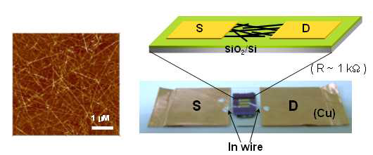고수율 network 단일벽 탄소나노튜브와 Al shadow mask로 제작된 단일 트랜지스터 소자