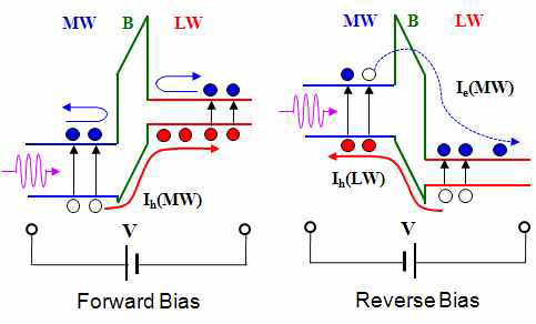 Equivalent energy band diagrams under forward (left) and reverse (right) biases in n-B-n SLIP device.