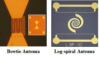 THz antenna used for photomixer measurement system.