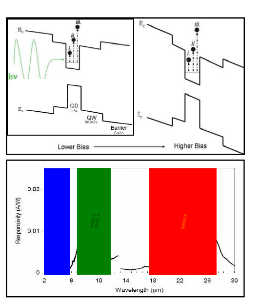 PR spectra for (i) VLW, (ii) LW, (iii) MW corresponding to sublevel transitions in CB of DWELL-QDIP.