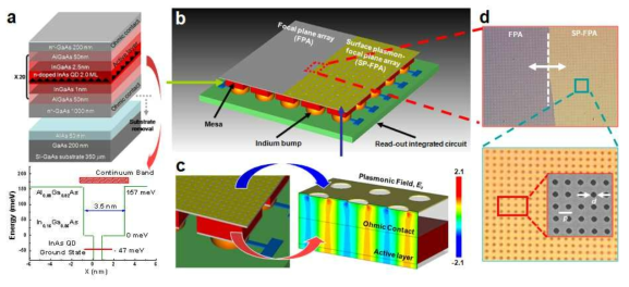 Layer structure and energy-band diagram (a) of QDIP, schematic diagram of SP-coupled FPA-QDIP (b), z-component SP field (c), and SPC structure (d) integrated on FPA-QDIP.