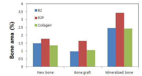 Histomorphometric analysis of bone area in peri-implantitis defect at 12weeks after grafting hydroxy apaptite (HA) mixed with collagen gel,