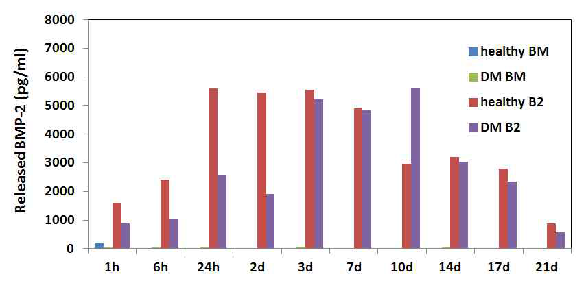 Expression of BMP-2 from BMSC.