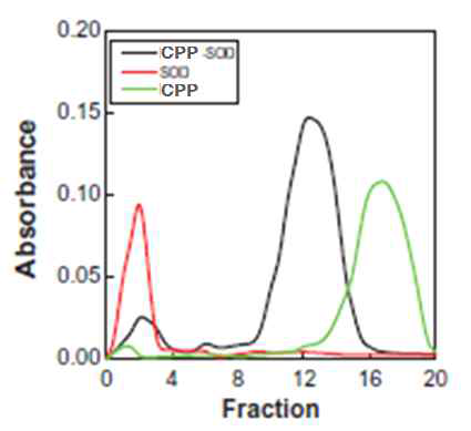 CPP-SOD 복합체의 liquid chromatography(LC) peak 확인