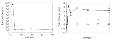 고분자/유전자 복합체의 입자 크기와 표면 전위