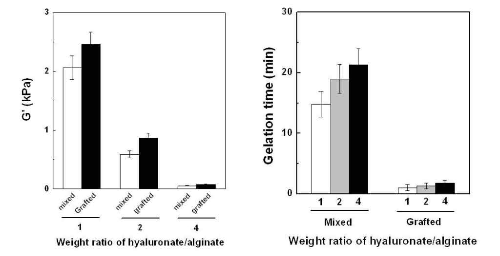 하이알우론산/알긴산의 질량비에 따라 이온가교 하이드로젤의 기계적 물성