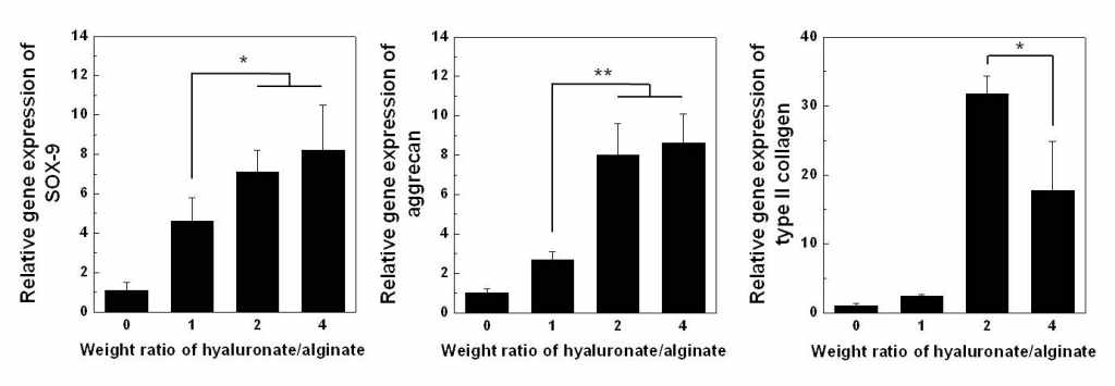 real-time PCR을 통해 연골조직 재생능 확인