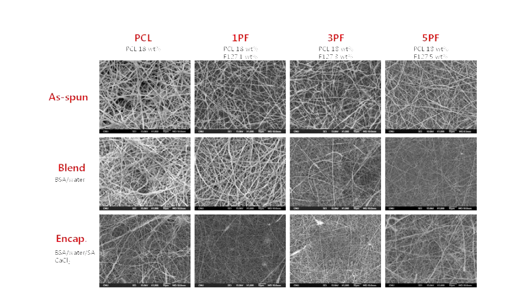 다양한 에멀전 용액 조성에 의해 제조된 PCL 나노섬유의 SEM 이미지