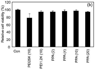 리피드-고분자 전달체의 N/P 비에 따른 독성