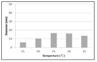 Mycelial growth of 31 strains of A. mellea on PDA in different temperatures after 20 days incubation