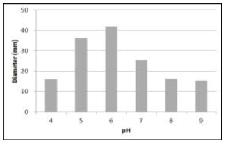 Mycelial growth of 31 strains of A. mellea on PDA in different pH after 20 days incubation at 25℃