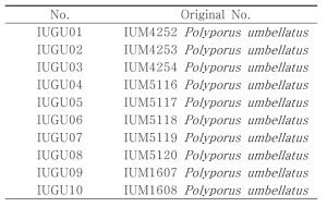 List of P. umbellatus strains used in this study.