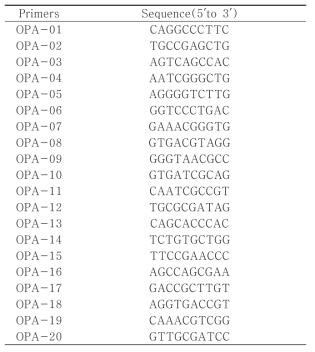 Random amplification of polymorphic DNA primers used in this study.